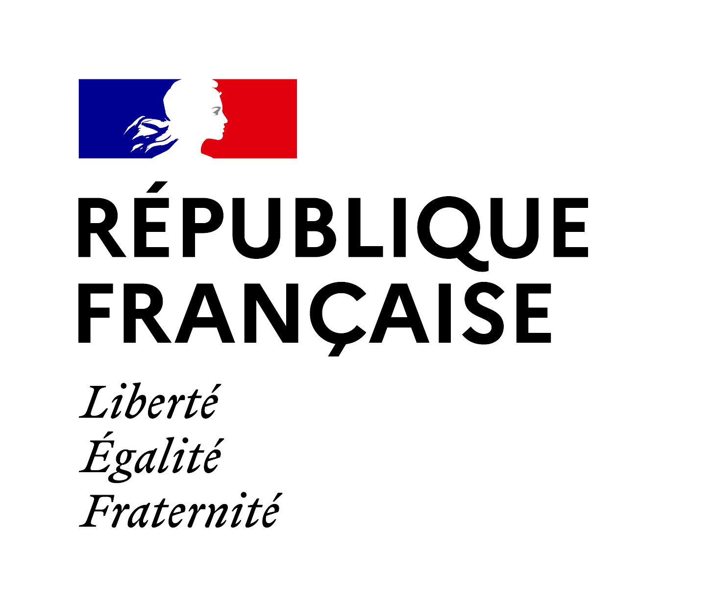 Bloc Marque RF France Travail RVB Horizontal Coul Positif
